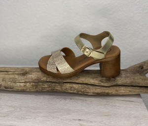 Nu pieds à talons platine femme